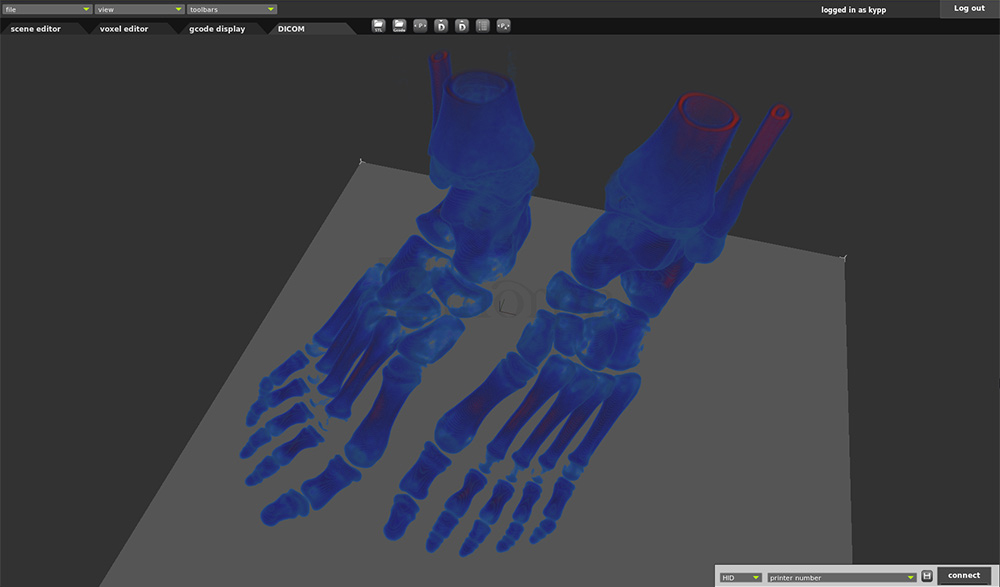 Dicom-Voxelizer